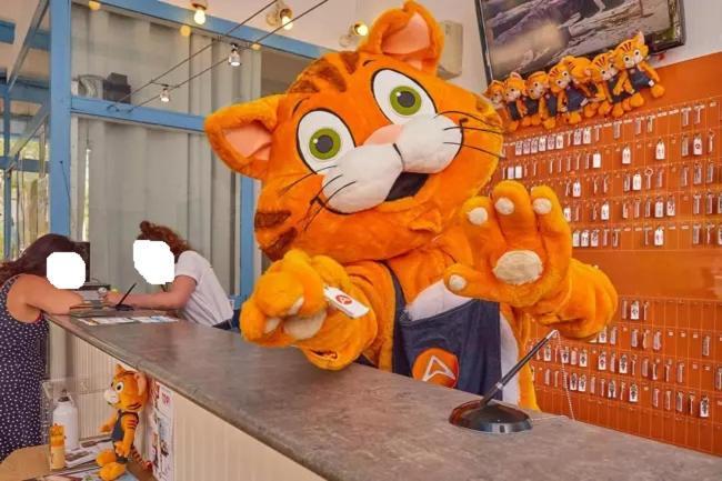 Mobil Home Tout Confort 6 Personnes Climatise Au Pied Du Luberon La Roque-d'Antheron Εξωτερικό φωτογραφία
